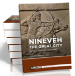 The Topography of Nineveh