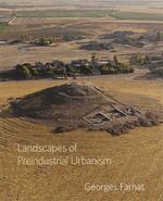 Space and Structure in Early Mesopotamian Cities