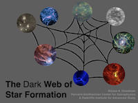 The Dark Web of Star Formation Title Slide