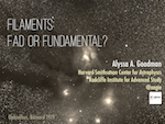 Filaments: Fad or Fundamental? title slide