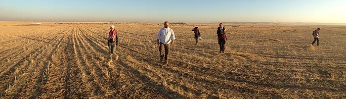 Erbil Plain Archaeological Survey