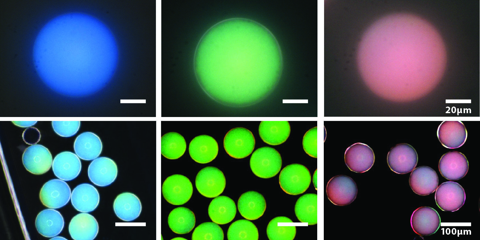 Picture of blue, green, and red photonic capsules