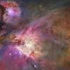 Young stars in the Orion nebula